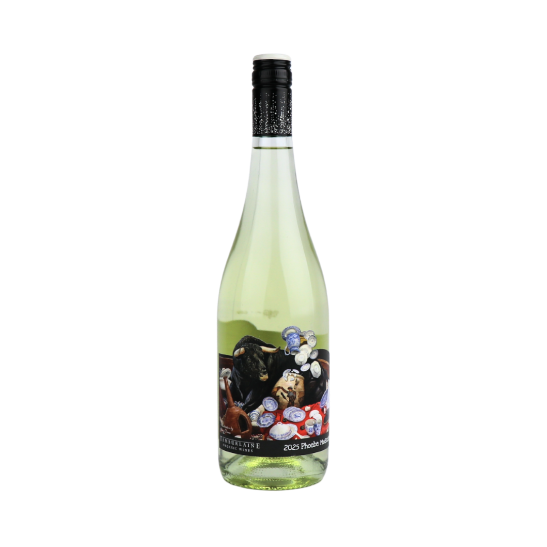 2025 Bull In A China Shop Phoebe Moscato