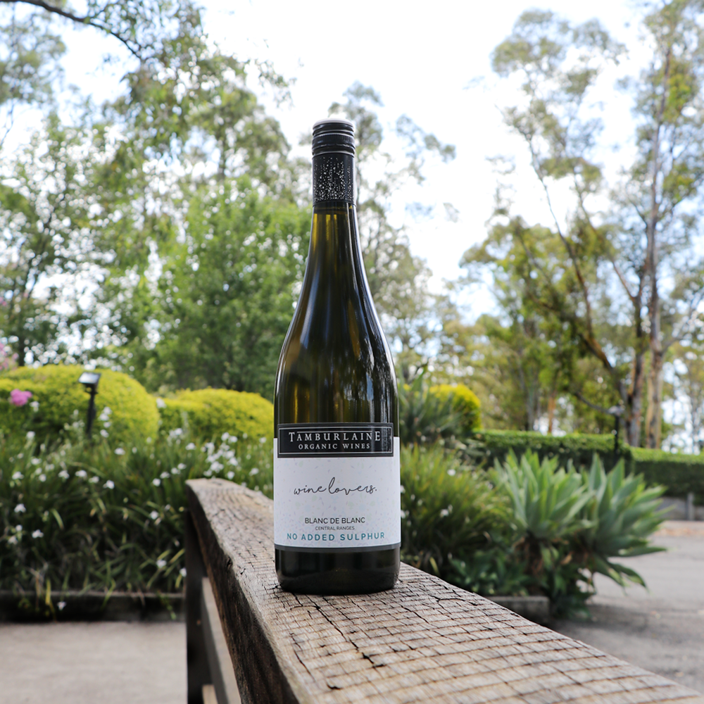 WineHubProductImage-28