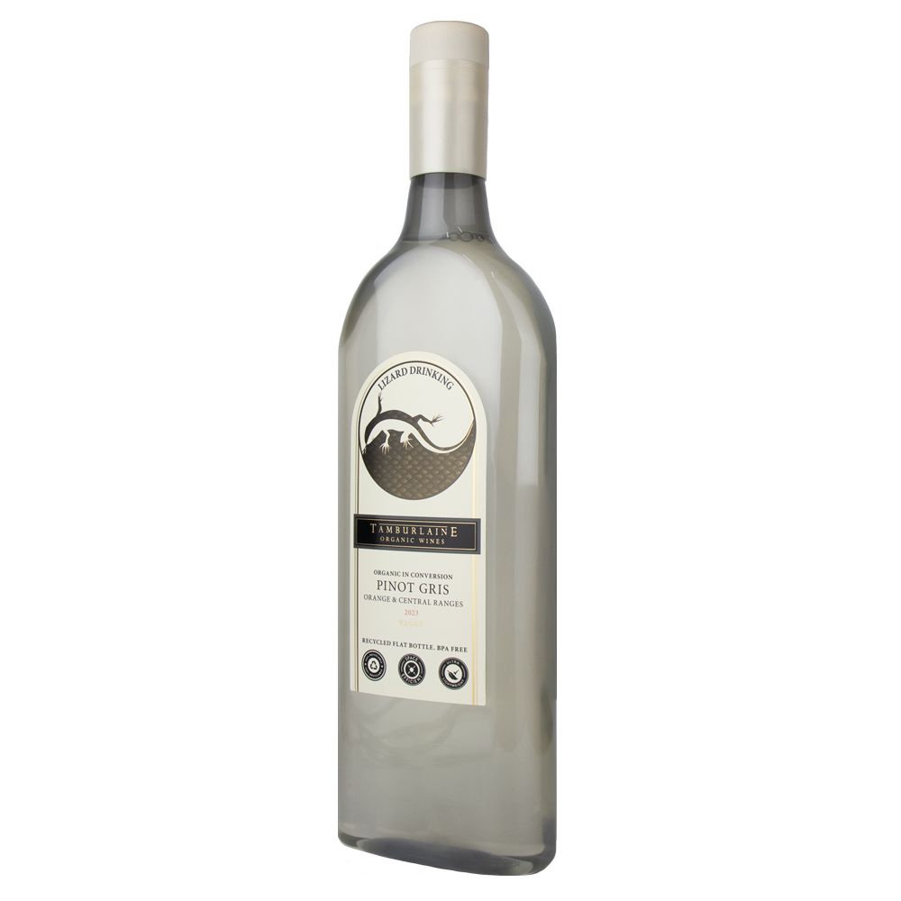 2023 Lizard Drinking Pinot Gris (PET Bottle)