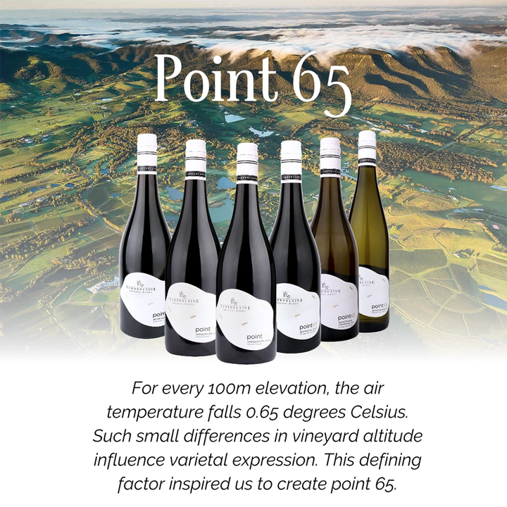 2024 Point 65 Tempranillo