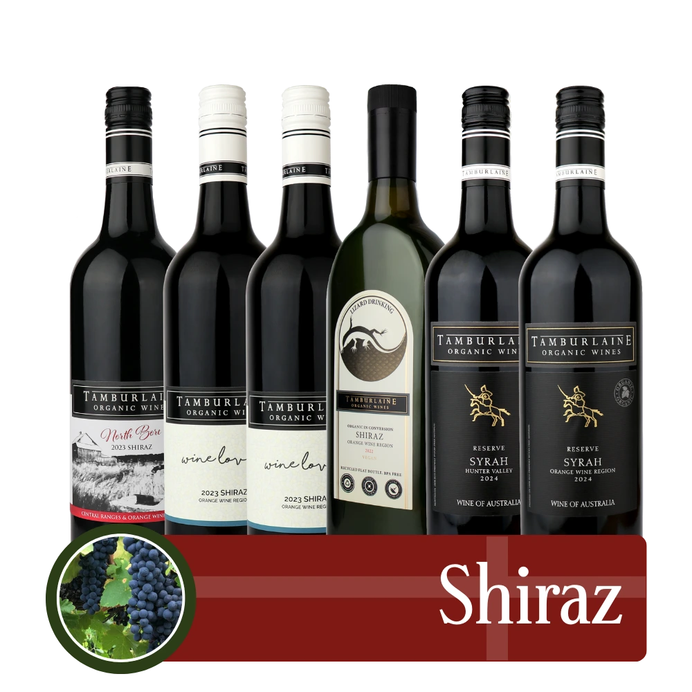 Shiraz Bundle 6 pack