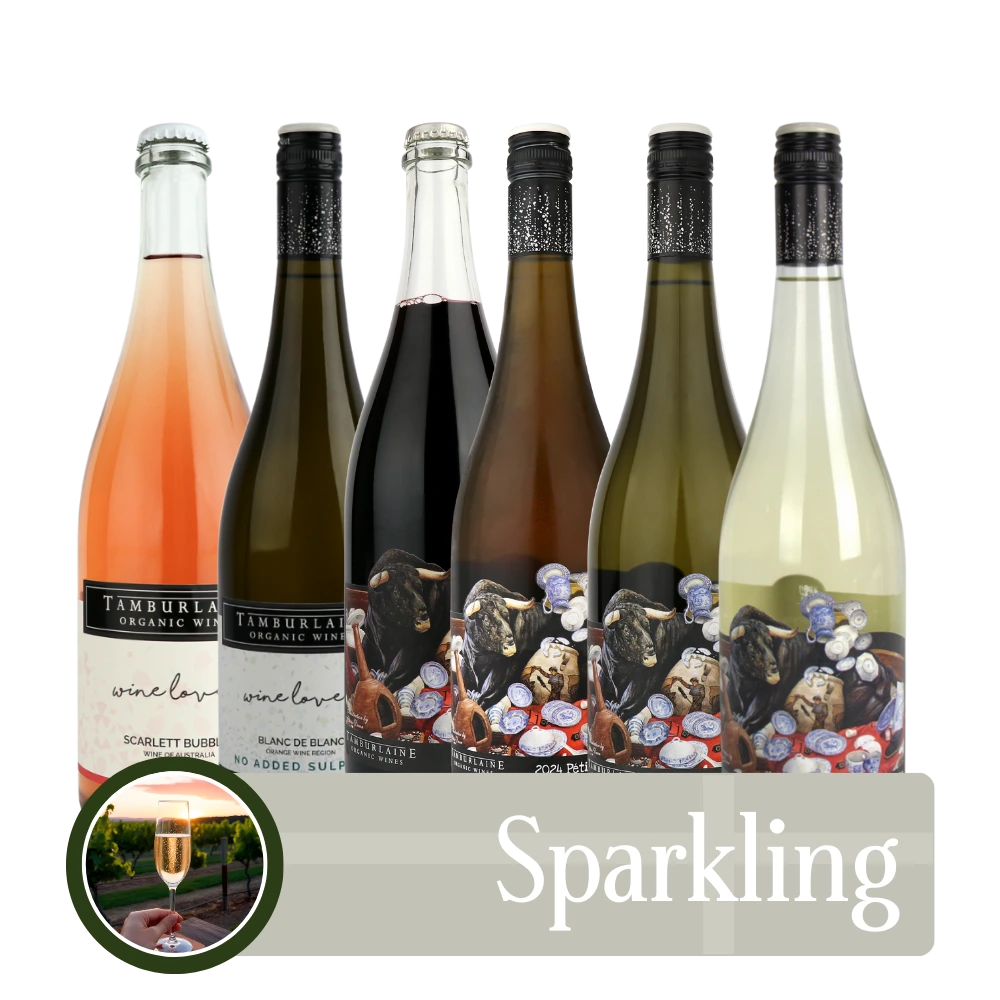 Sparkling Bundle 6 pack