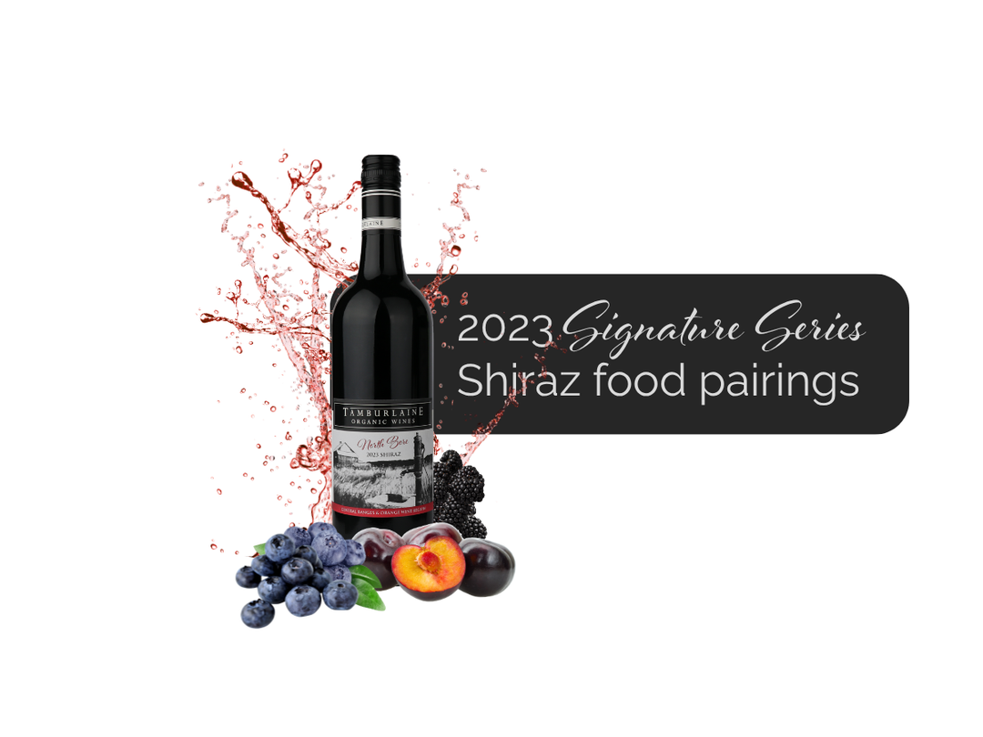 Food Pairing | 2024 Signature Series Shiraz with 12-Hour Beef Short Ribs