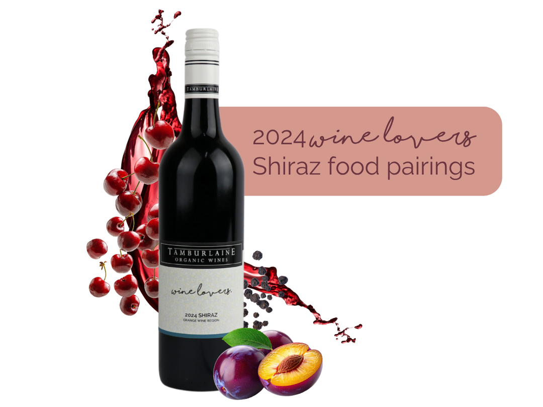 Food Pairing | Wine Lovers Shiraz with Seared Salmon