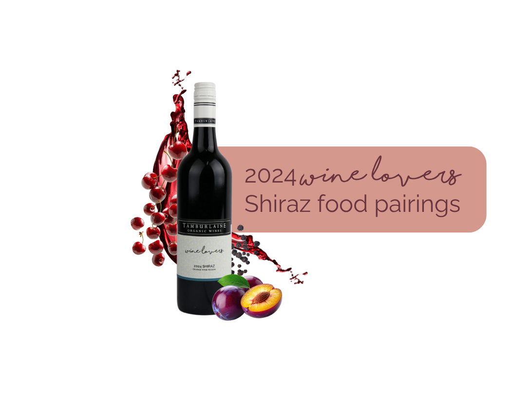 Food Pairing | Wine Lovers Shiraz with Seared Salmon
