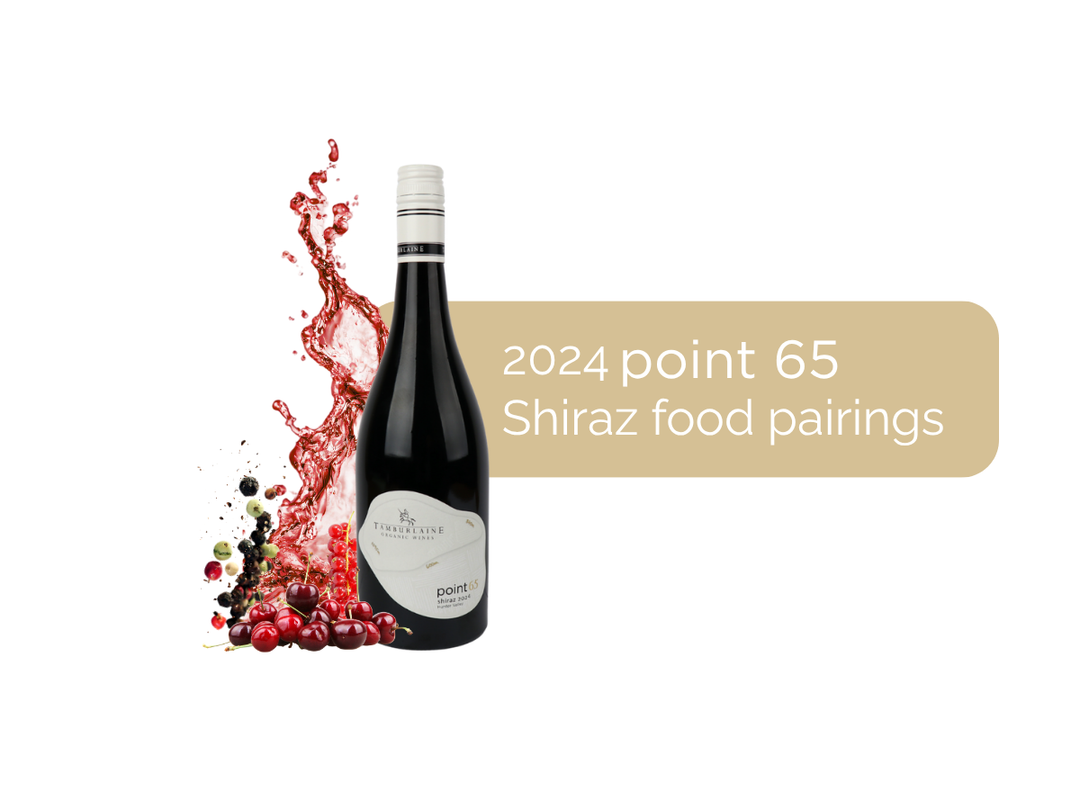 Food Pairing | 2024 Point 65 Shiraz with Roquefort and Honeycomb