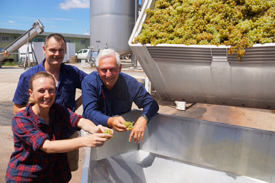 Tamburlaine Expansion Feeds Rising Pool of Organic Wine Producers