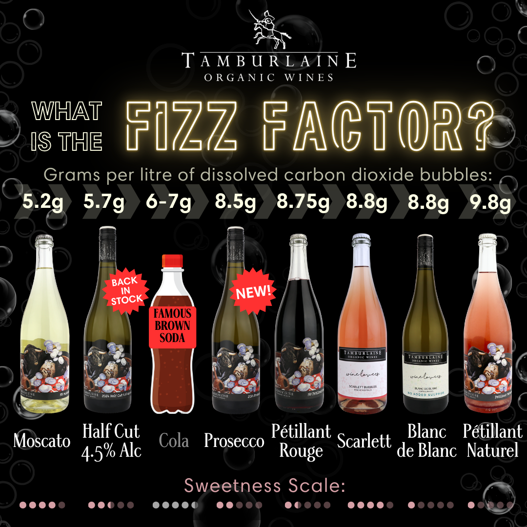 What is the Fizz Factor?