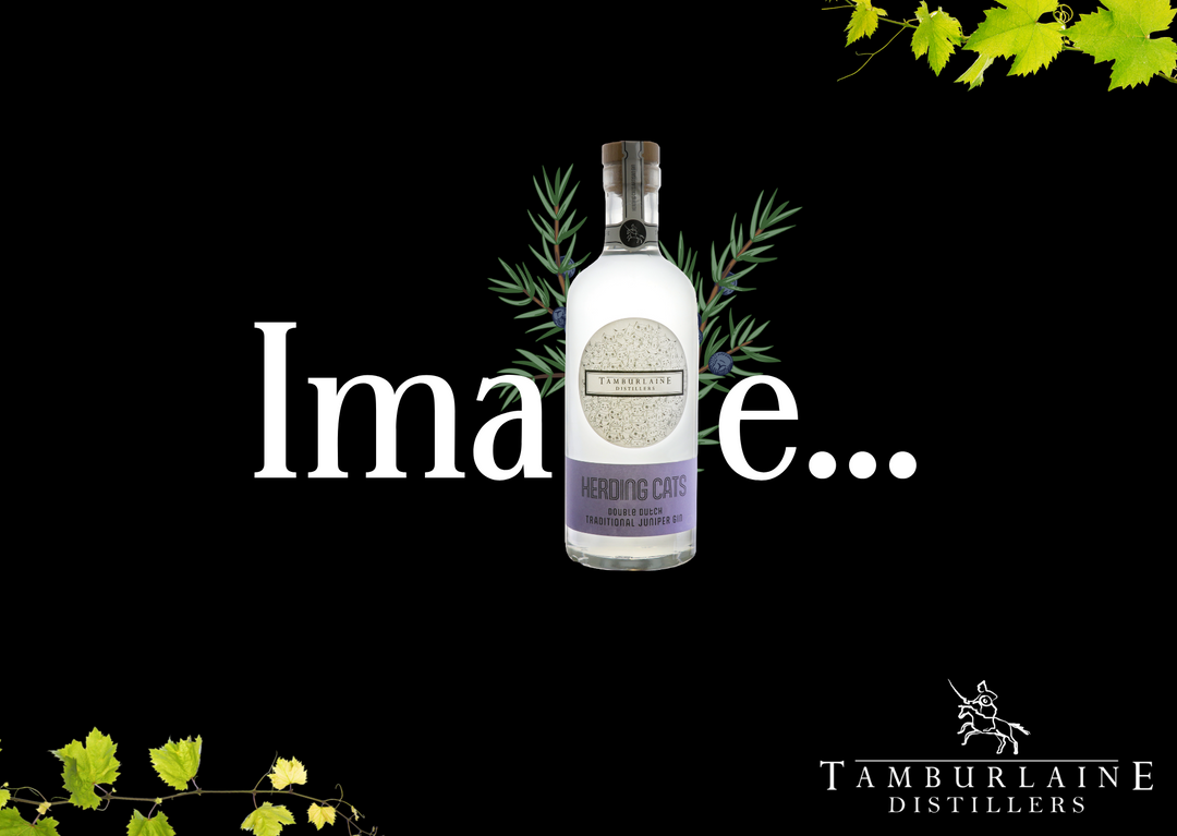 Tamburlaine Gins
