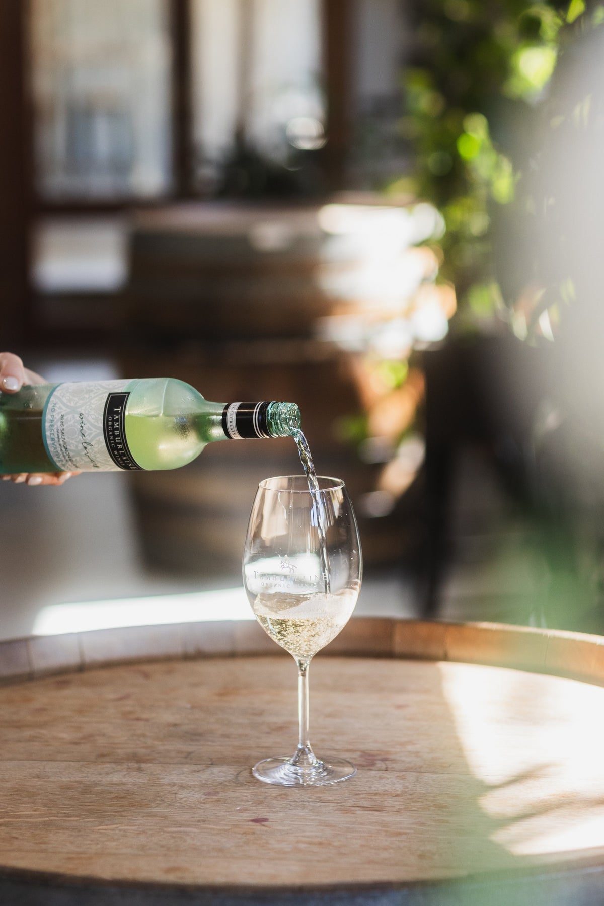 Wine Lovers No Preservative Added Wines