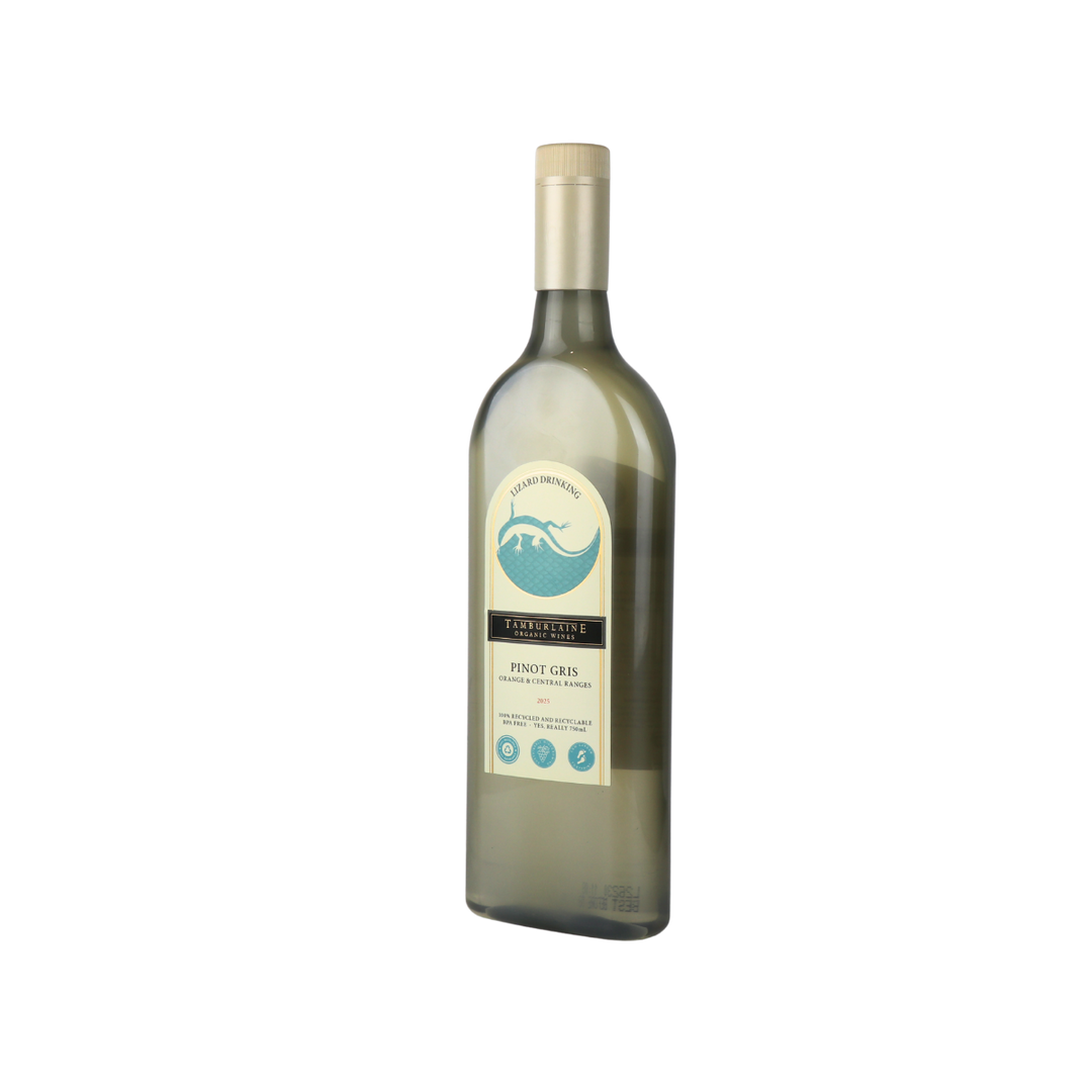 2025 Lizard Drinking Pinot Gris (rPET Bottle)