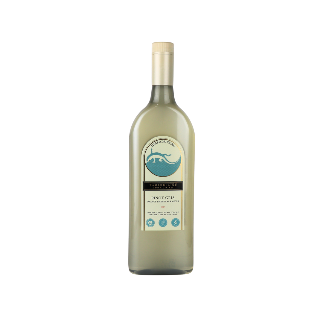 2025 Lizard Drinking Pinot Gris (rPET Bottle)