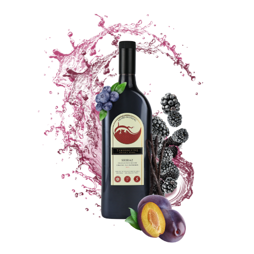 2023 Lizard Drinking Shiraz (rPET Bottle)