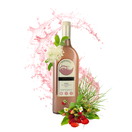 2024 Lizard Drinking Rosé (rPET Bottle)