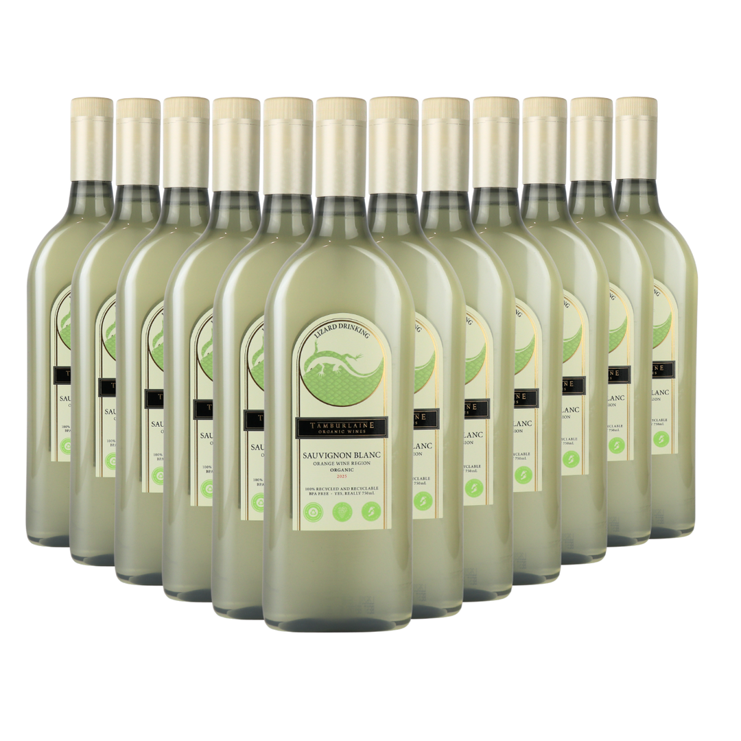 Lizard Drinking Sauvignon Blanc Dozen (rPET Bottle)