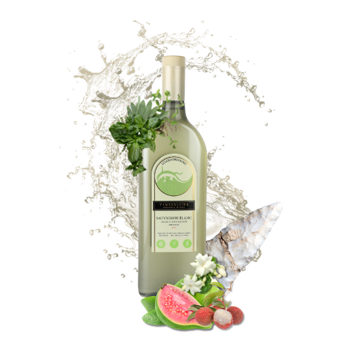 2025 Lizard Drinking Sauvignon Blanc (rPET Bottle)