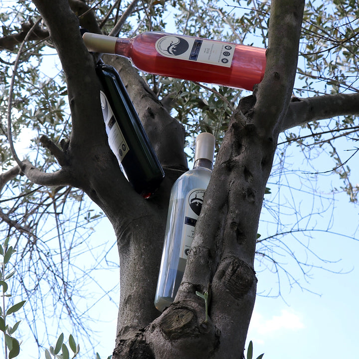 2022 Lizard Drinking Shiraz (PET Bottle)