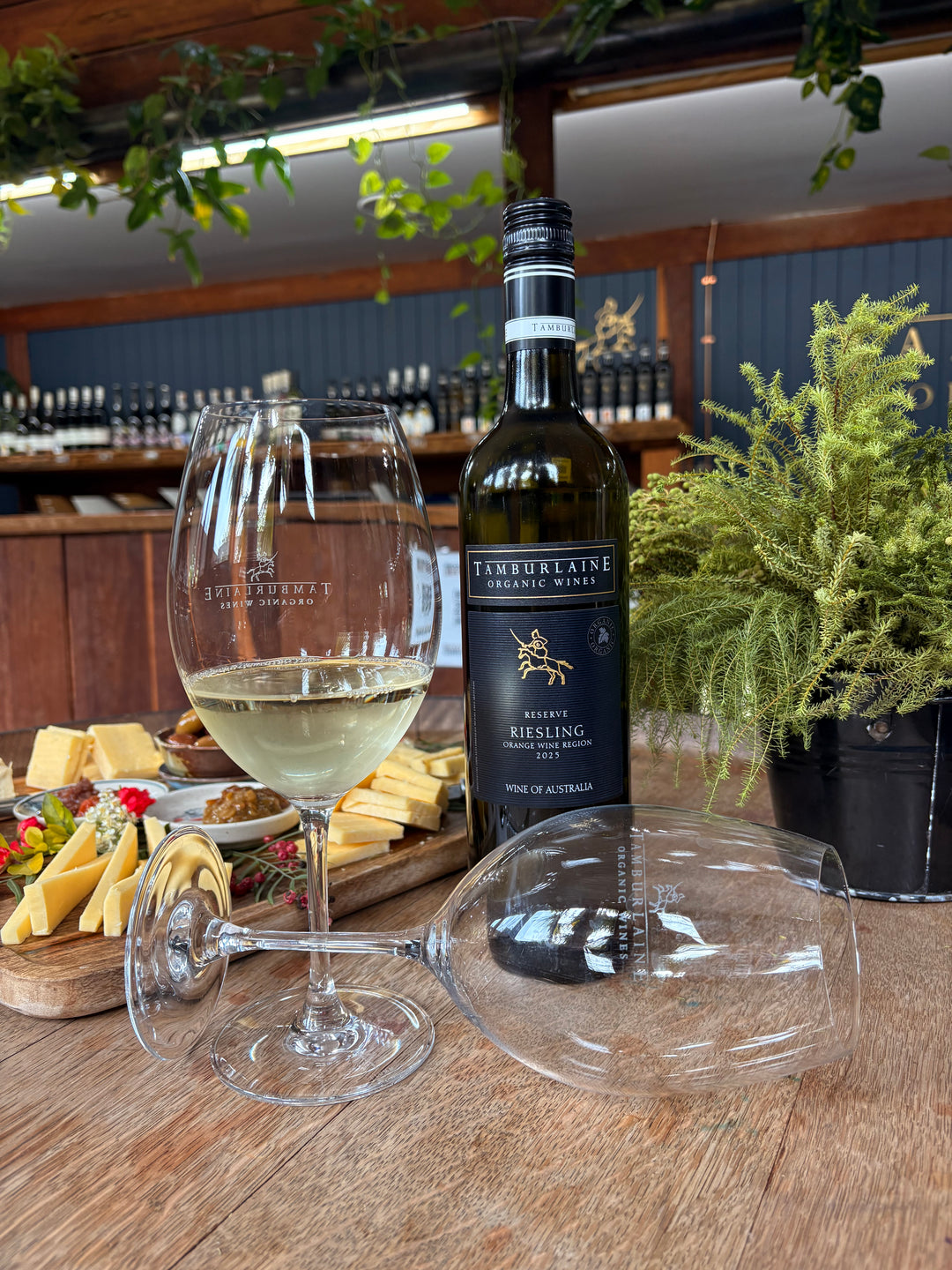 2025 Reserve Orange Riesling