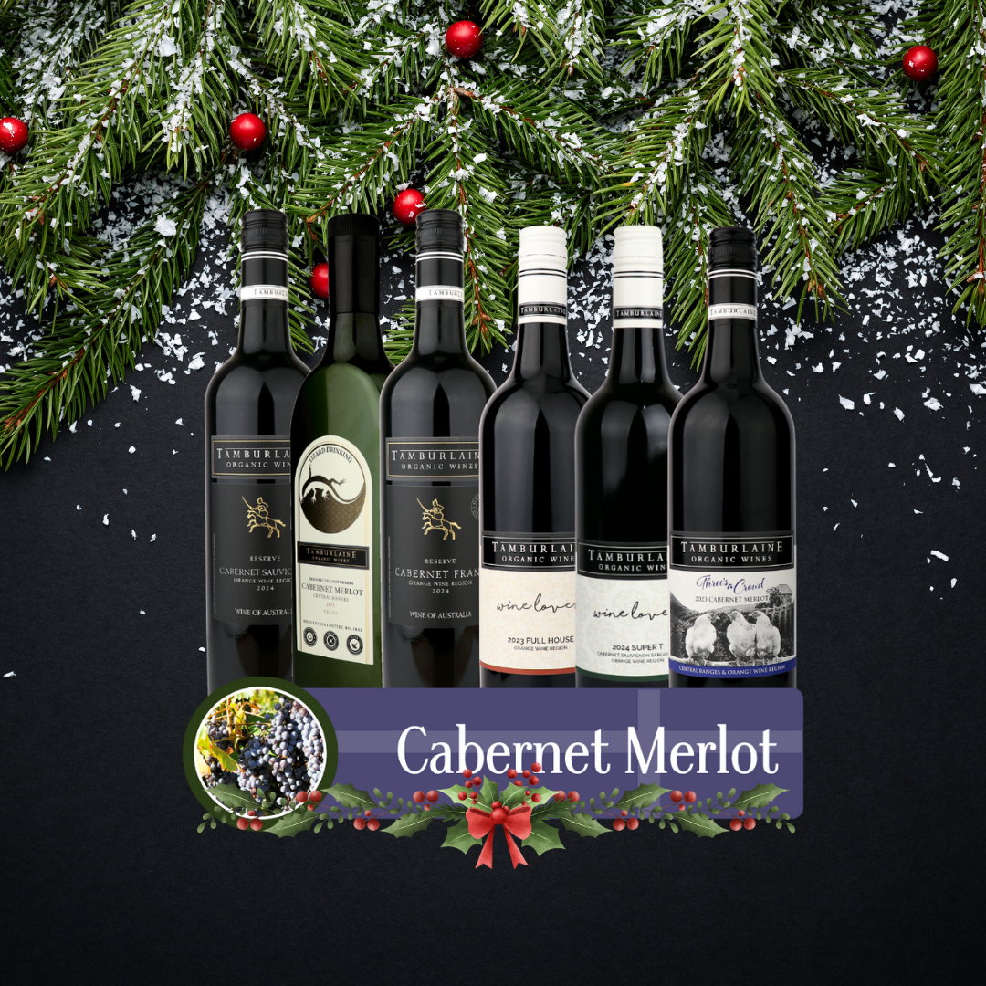 Cabernet Bundle 6 pack