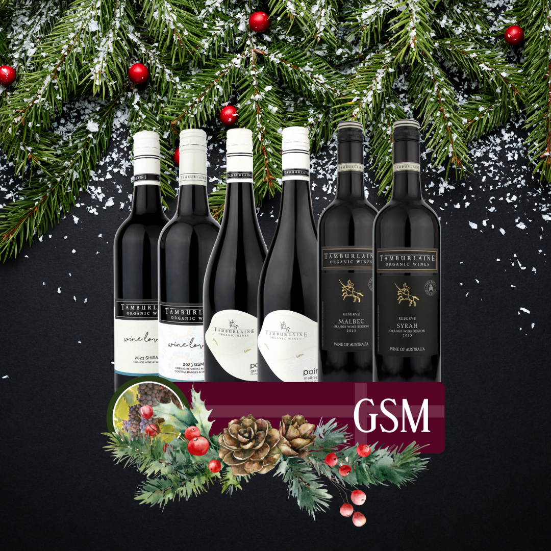 GSM Bundle 6 pack