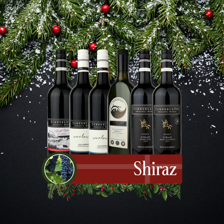 Shiraz Bundle 6 pack