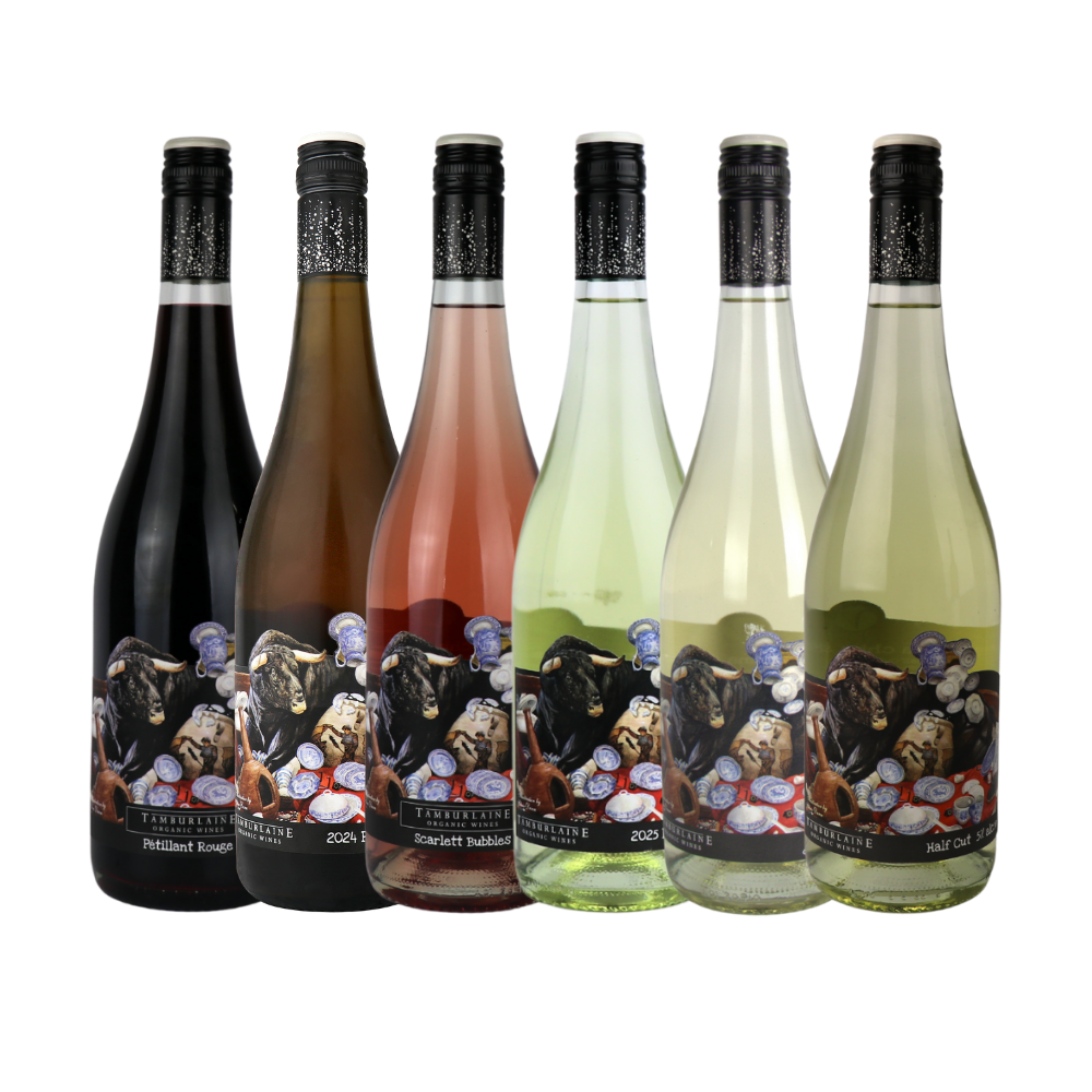 Bull in a China Shop Mixed Sparkling 6-Pack