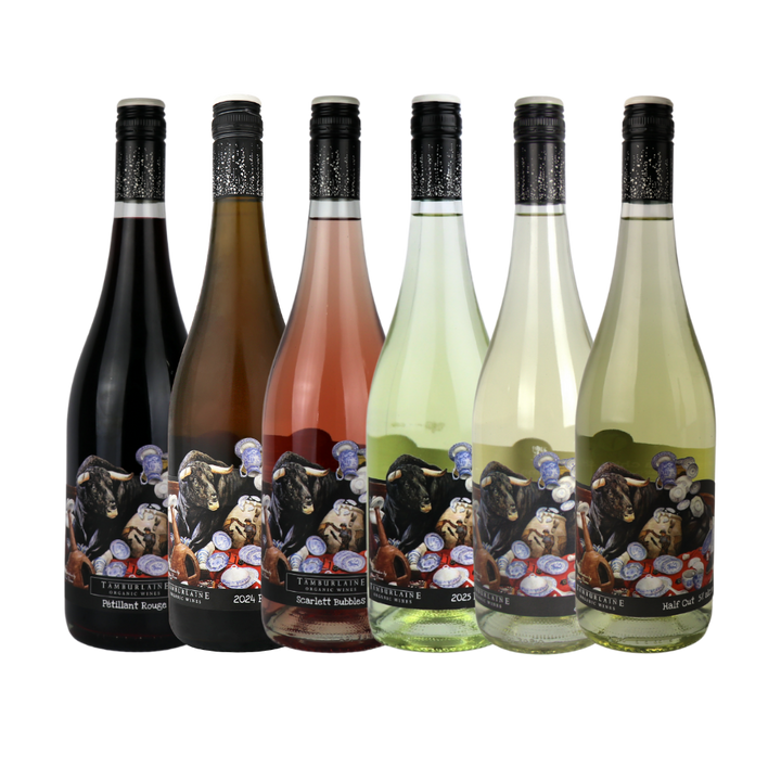 Bull in a China Shop Mixed Sparkling 6-Pack