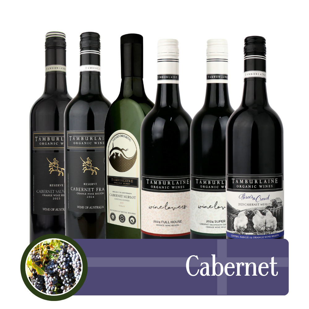 Cabernet Bundle 6 pack