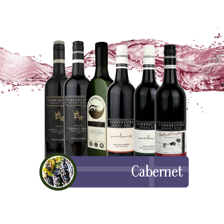 Cabernet Bundle 6 pack