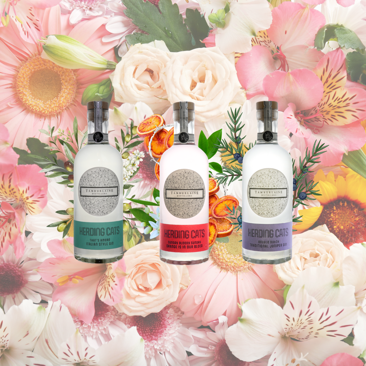 Herding Cats Gin Triple Taster Gift Pack – Tamburlaine Organic Wines