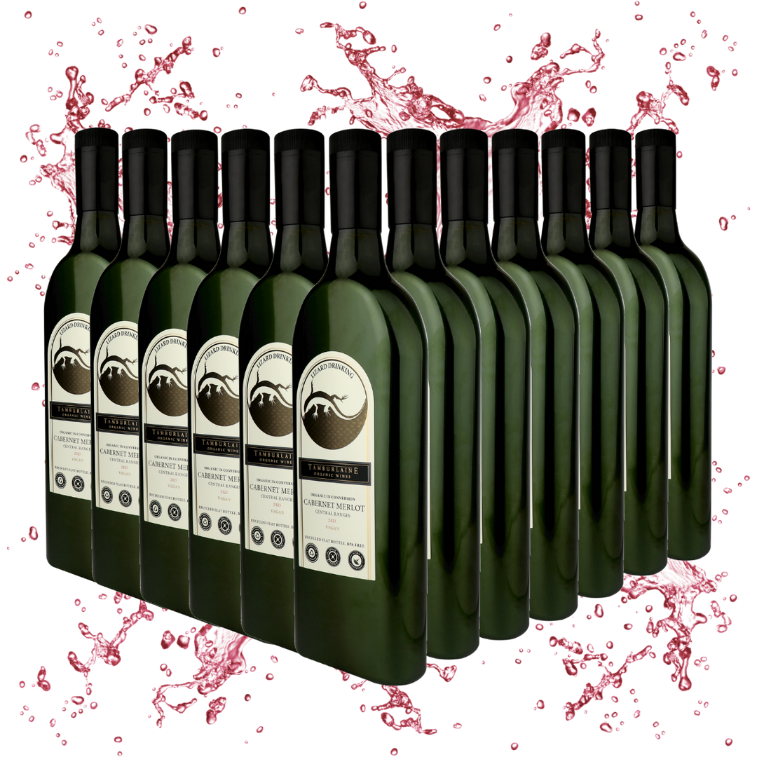 Lizard Drinking Cabernet Merlot Dozen (rPET Bottle)