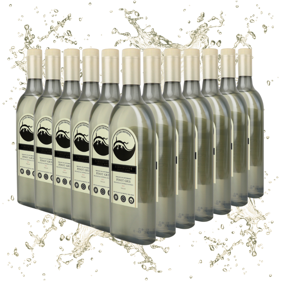 Lizard Drinking Pinot Gris Dozen (rPET Bottle)