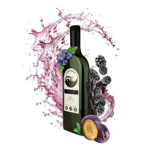 2022 Lizard Drinking Shiraz (rPET Bottle)