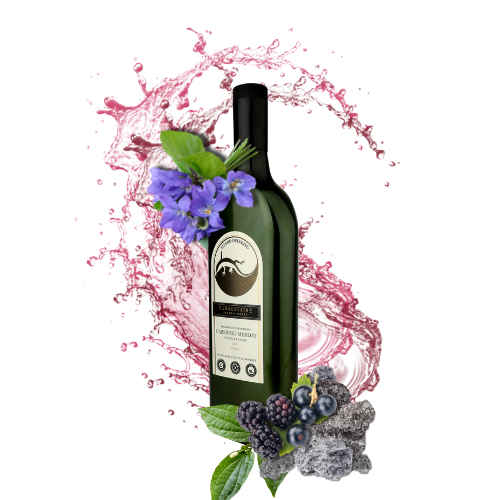 2023 Lizard Drinking Cabernet Merlot (rPET Bottle)