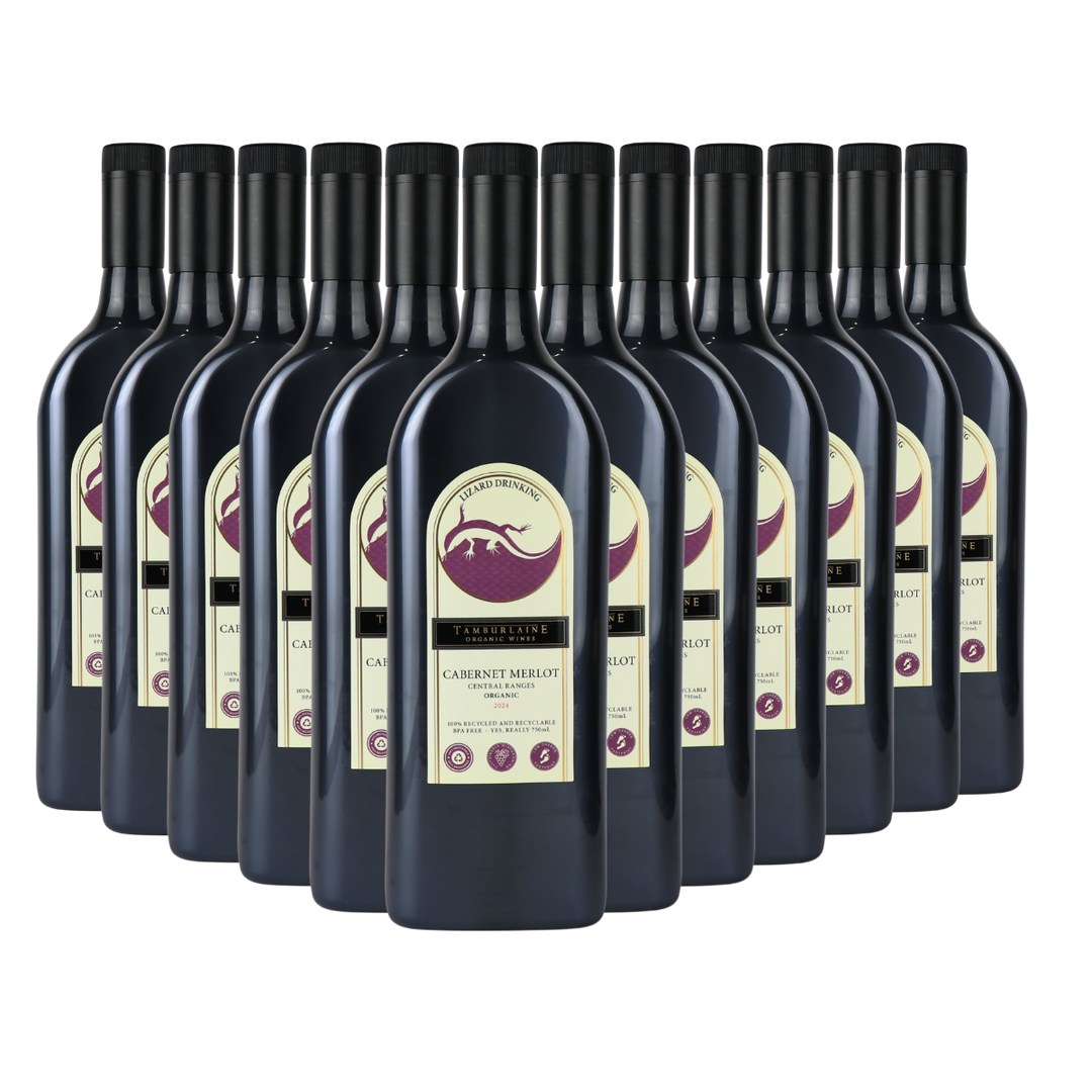 Lizard Drinking Cabernet Merlot Dozen (rPET Bottle)