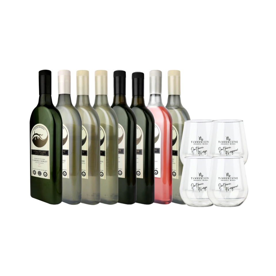 Lizard Drinking 8-pack with glasses