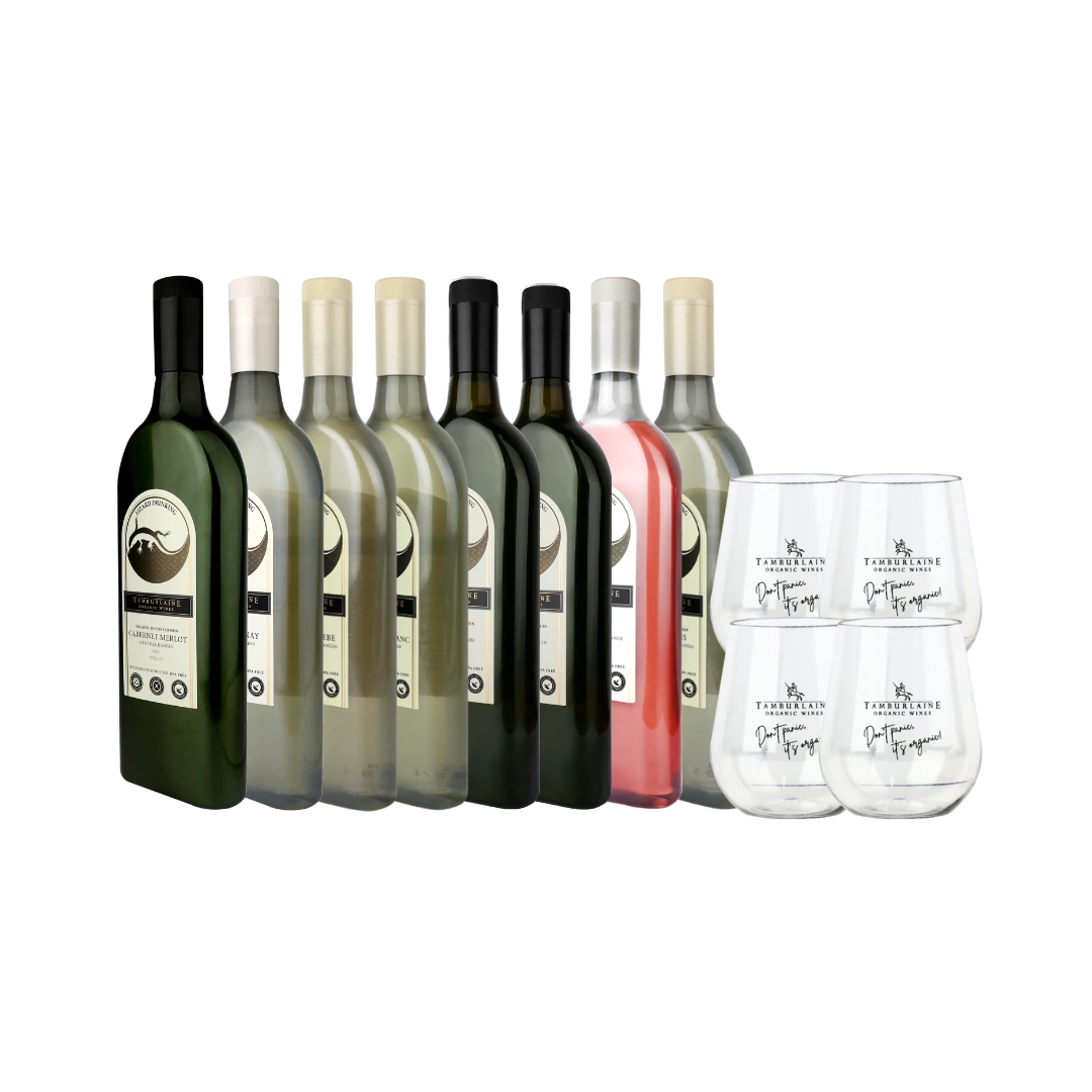 Lizard Drinking 8-pack with glasses