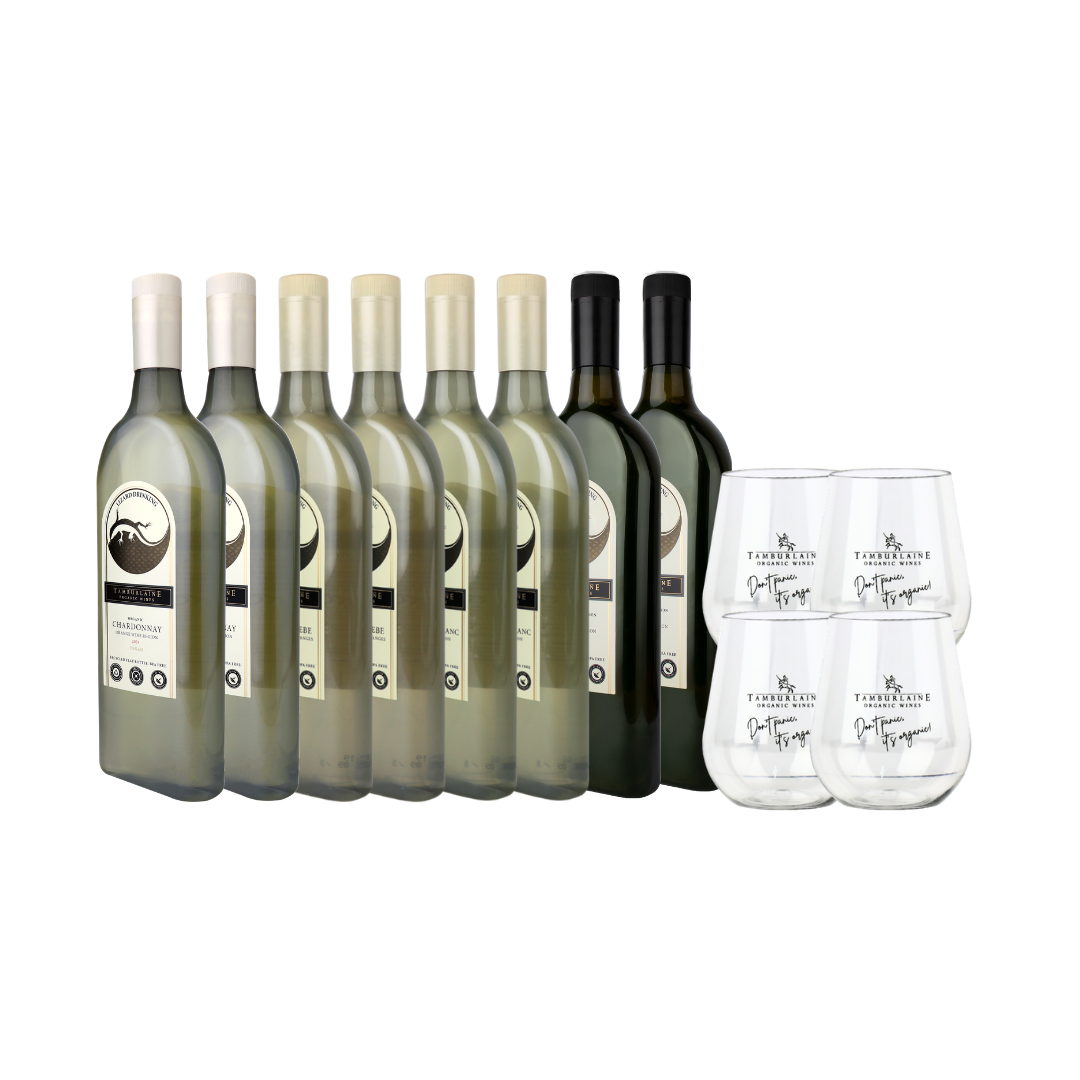 Lizard Drinking (rPET) 8-pack with shatterproof glasses