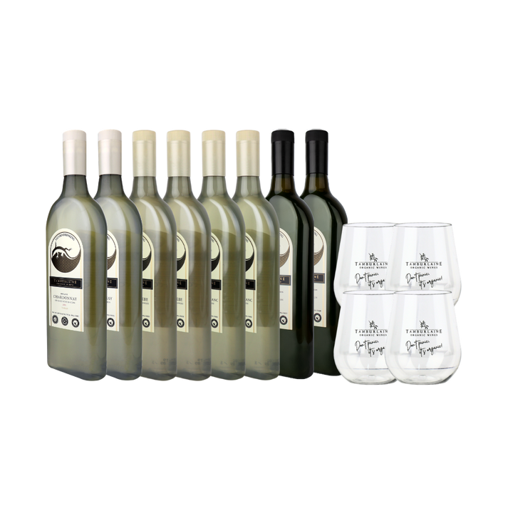 Lizard Drinking (rPET) 8-pack with shatterproof glasses