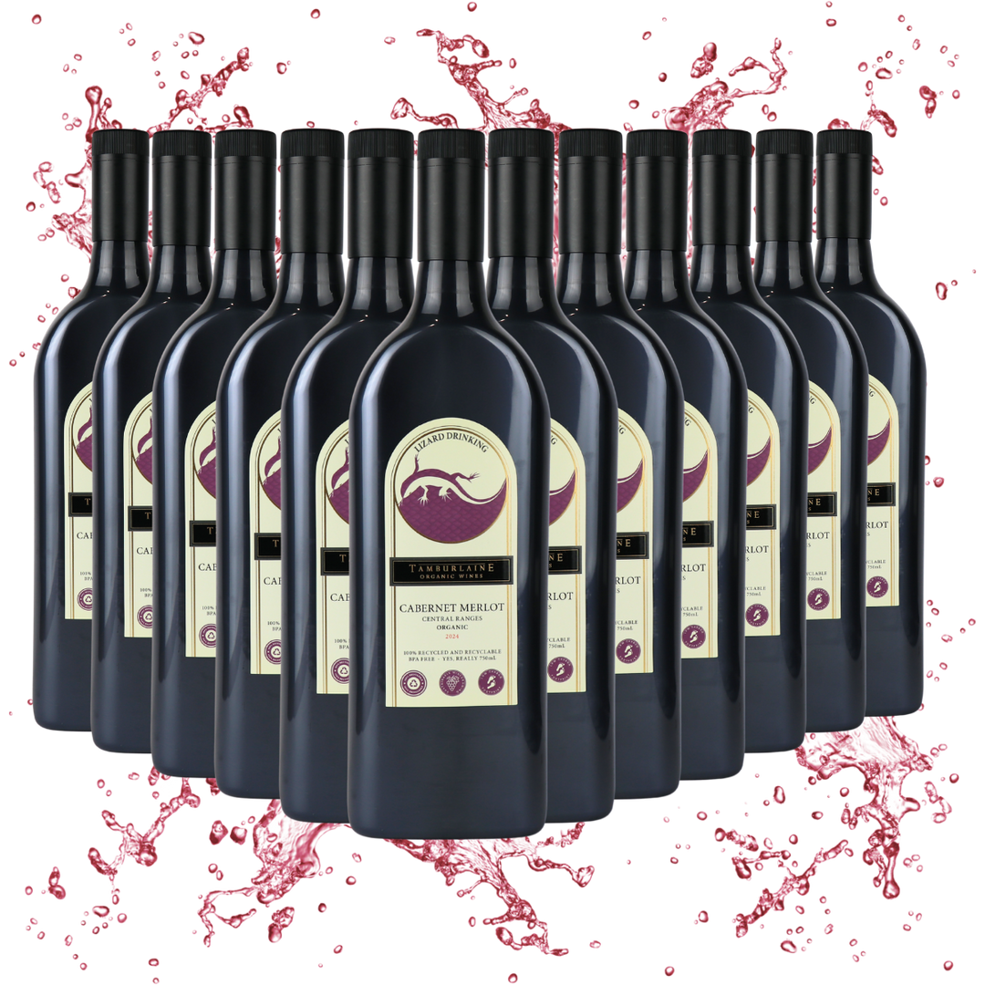 Lizard Drinking Cabernet Merlot Dozen (rPET Bottle)