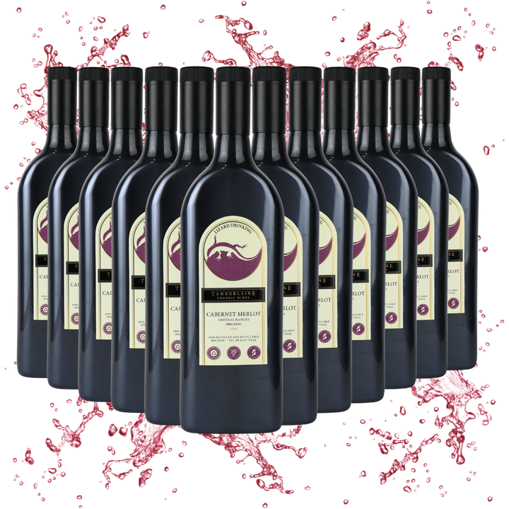Lizard Drinking Cabernet Merlot Dozen (rPET Bottle)