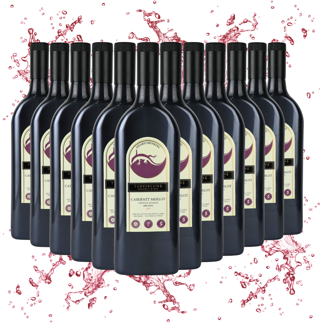 Lizard Drinking Cabernet Merlot Dozen (rPET Bottle)