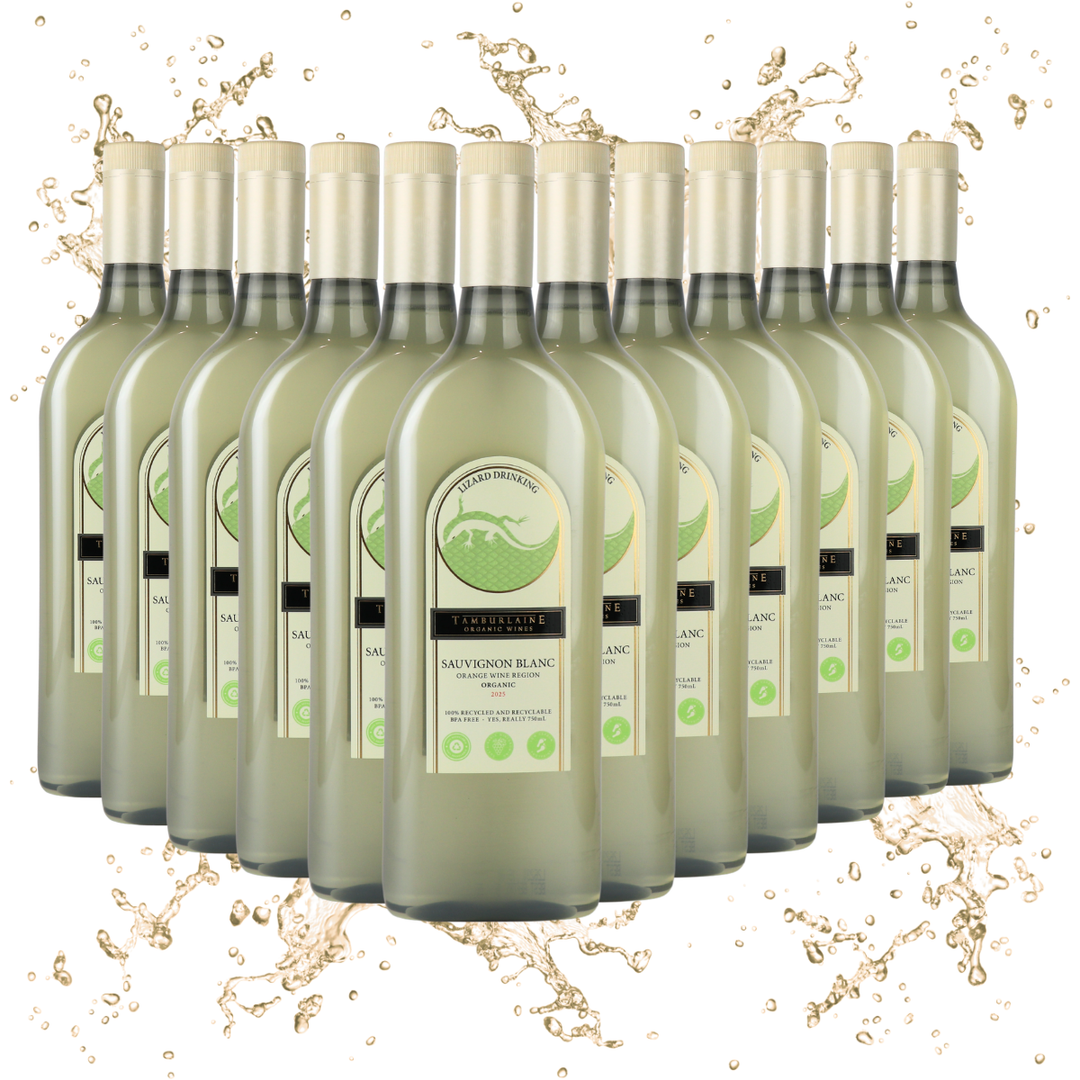 Lizard Drinking Sauvignon Blanc Dozen (rPET Bottle)