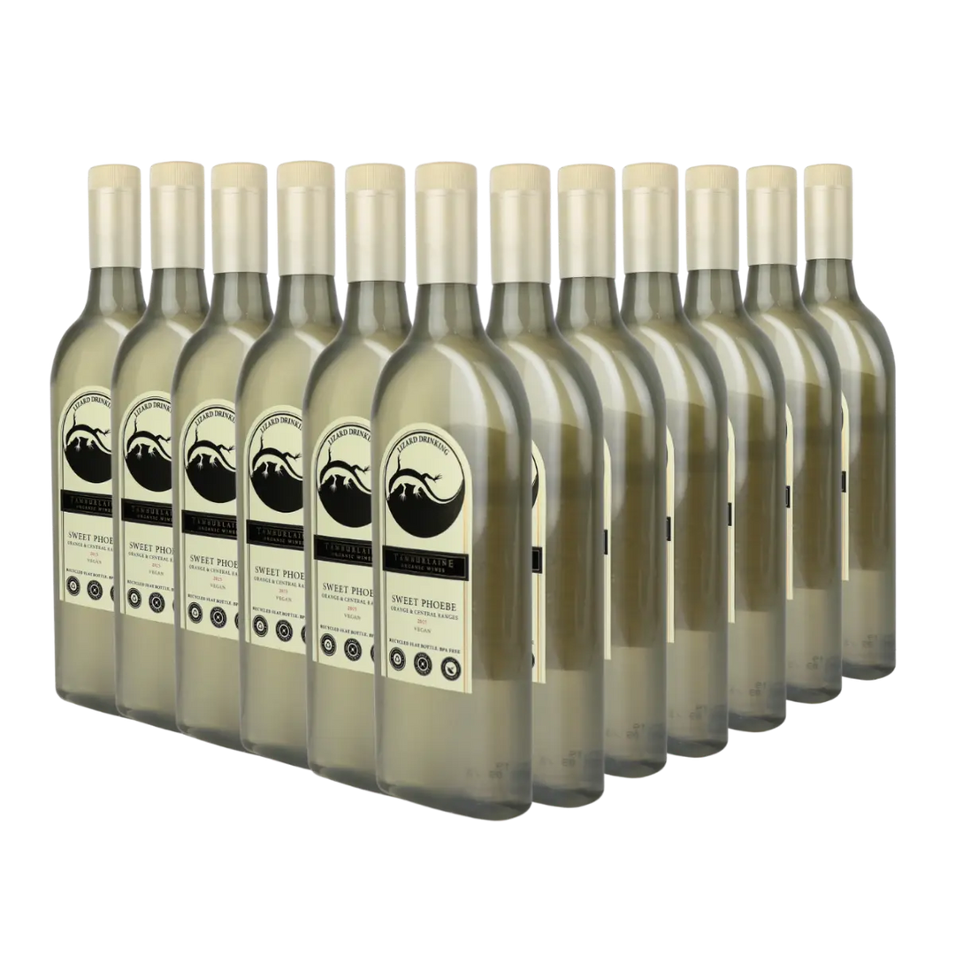 Lizard Drinking Sweet Phoebe Dozen (rPET Bottle)