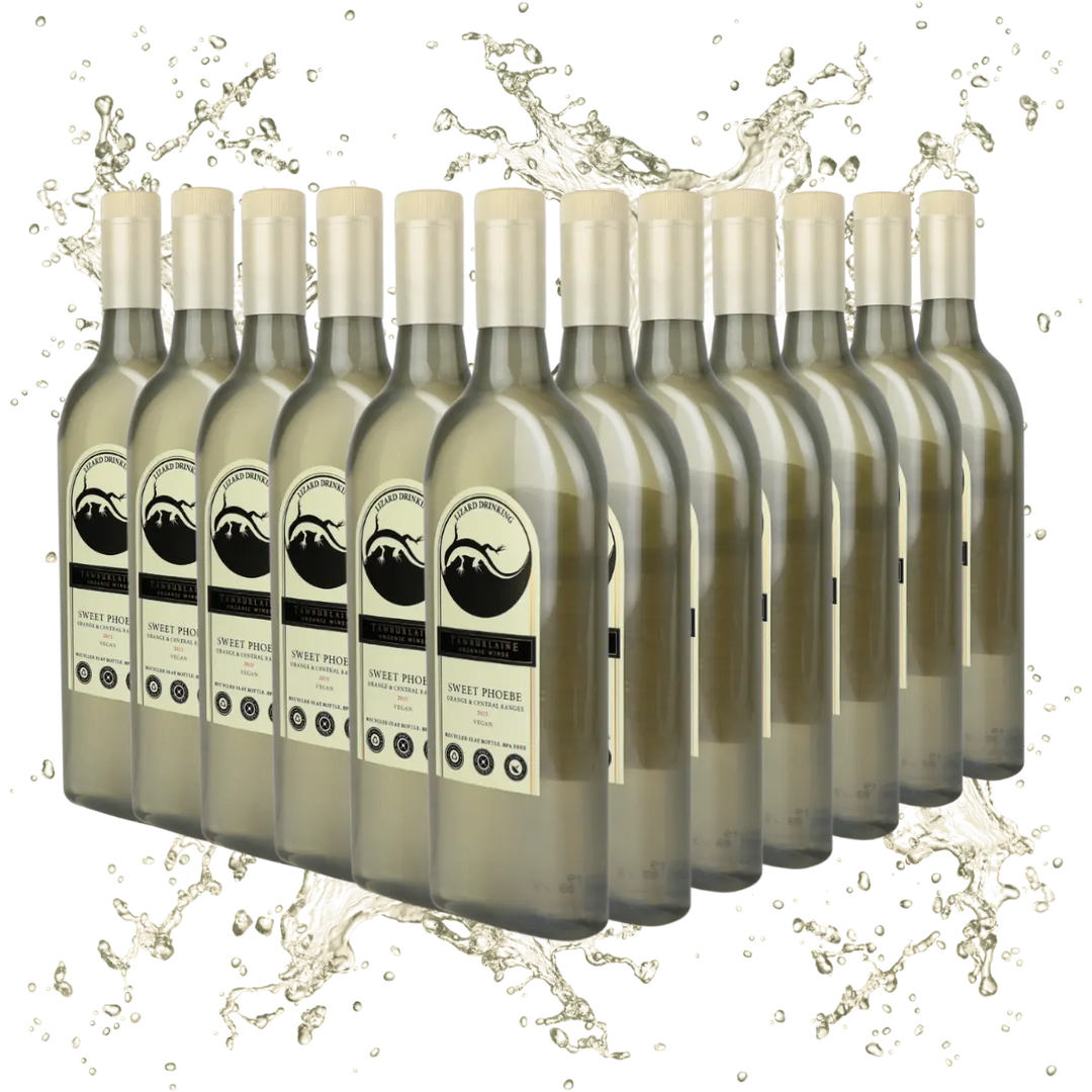 Lizard Drinking Sweet Phoebe Dozen (rPET Bottle)