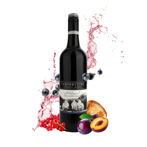 2023 Mark Davidson Signature Series Cabernet Merlot
