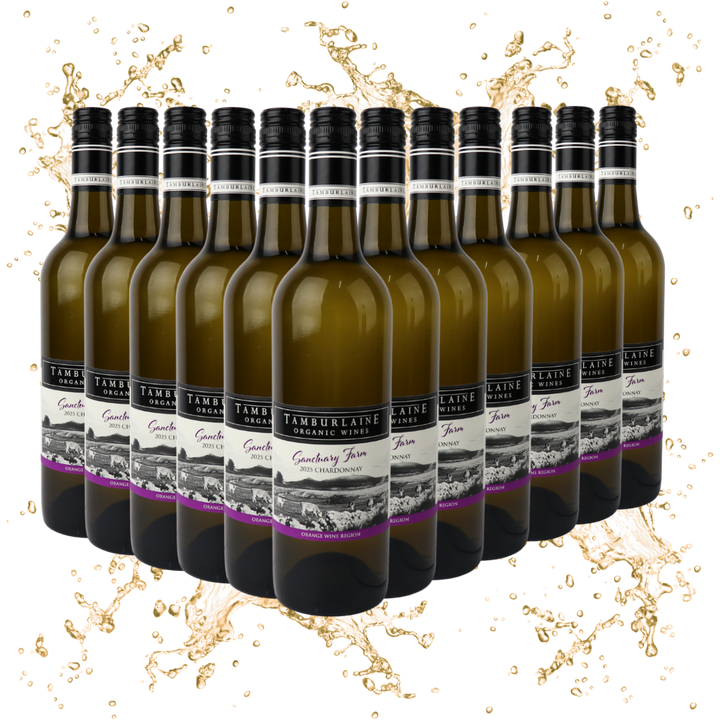 Mark Davidson Signature Series Chardonnay Dozen