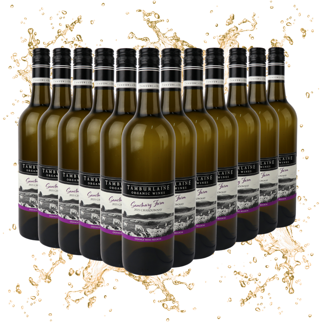 Mark Davidson Signature Series Chardonnay Dozen