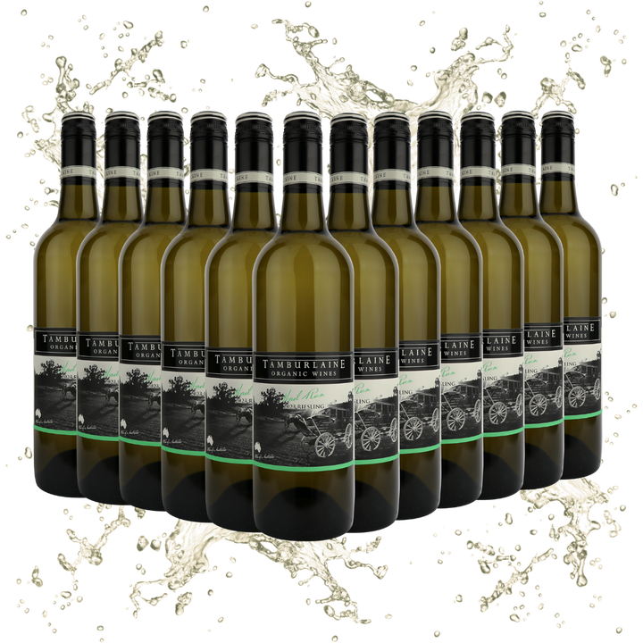 Mark Davidson Signature Series Riesling Dozen