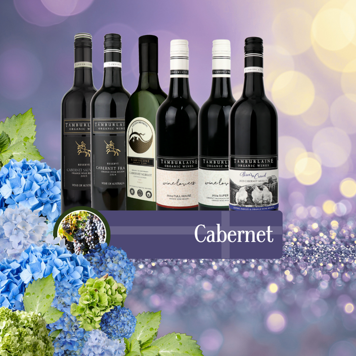 Cabernet Bundle 6 pack